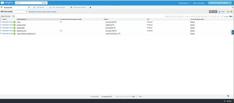 Service Cloud Konsole - Eingangsbildschirm