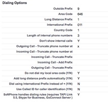 Configure dialing options for USA (click to enlarge)