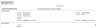 Custom phone field in a custom object 