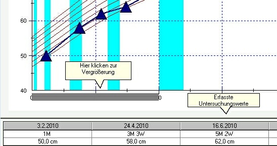 perzentilen-erfasste-werte