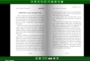 Example  - Screenshot from Flip Book 