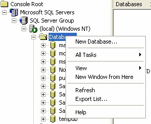 Using SQL Server Enterprise Manager